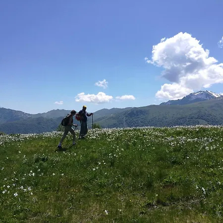 Le Fonti
