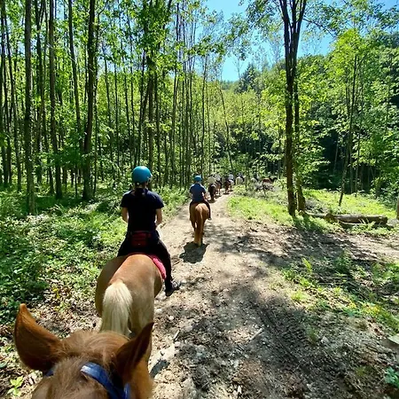 Le Fonti מלון לוריזיה