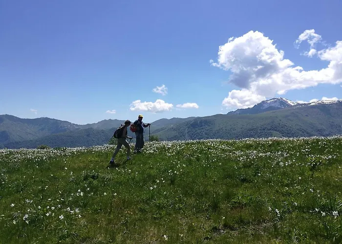 Le Fonti